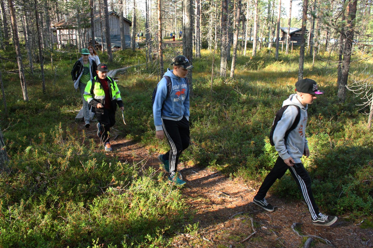 Kisassa hyödynnettiin Lapiosalmen harjualueen polkuverkostoa ja Metsähallituksen ja Lapiosalmen matkailukeskuksen palveluja.