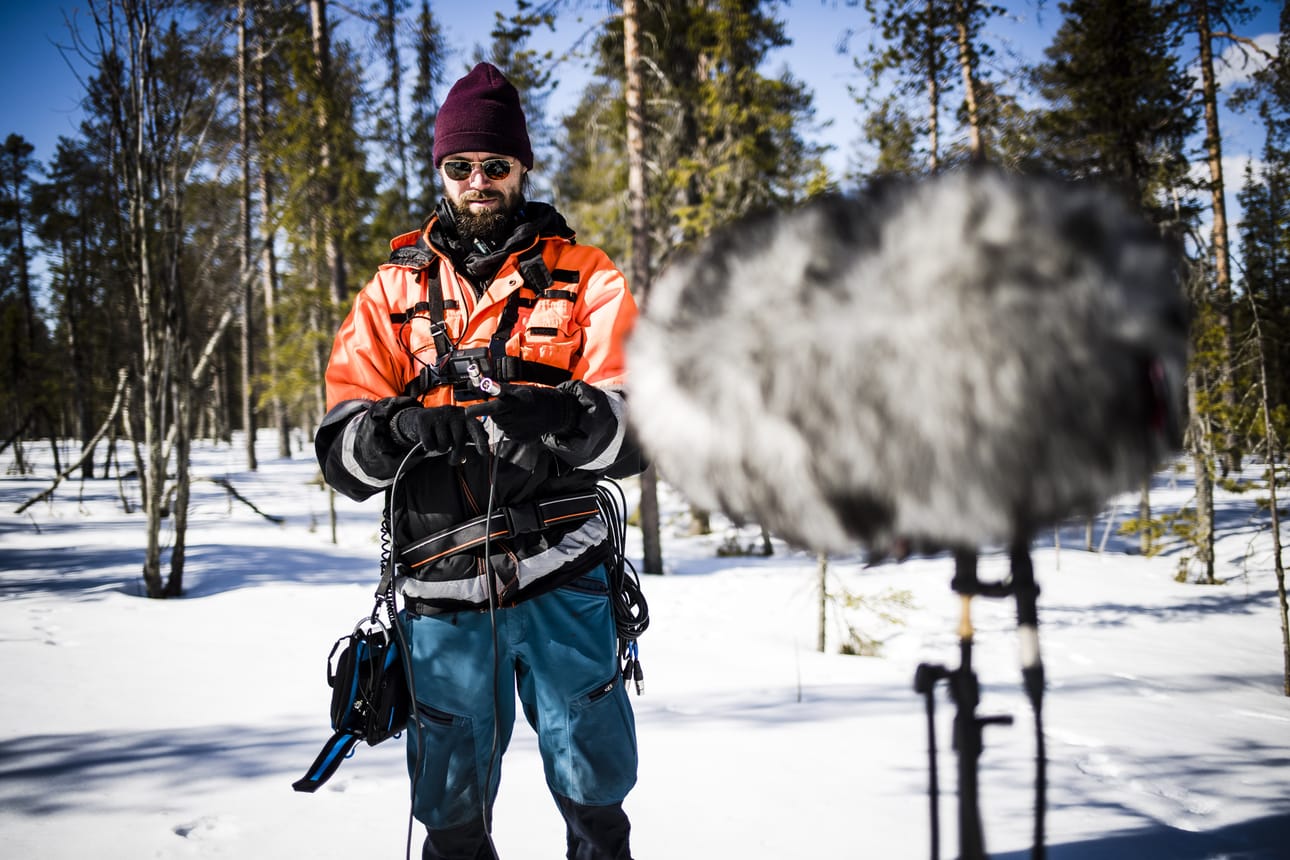 Lapin äänimaisema kiinnostaa muun muassa elokuvia tai sarjoja tekeviä tuotantoyhtiöitä, pelifirmoja ja musiikintekijöitä. Niklas Eurén uskoo, että luonnonäänien kuuntelu yleistyy myös keinona rentoutua arjen äänisaasteesta.