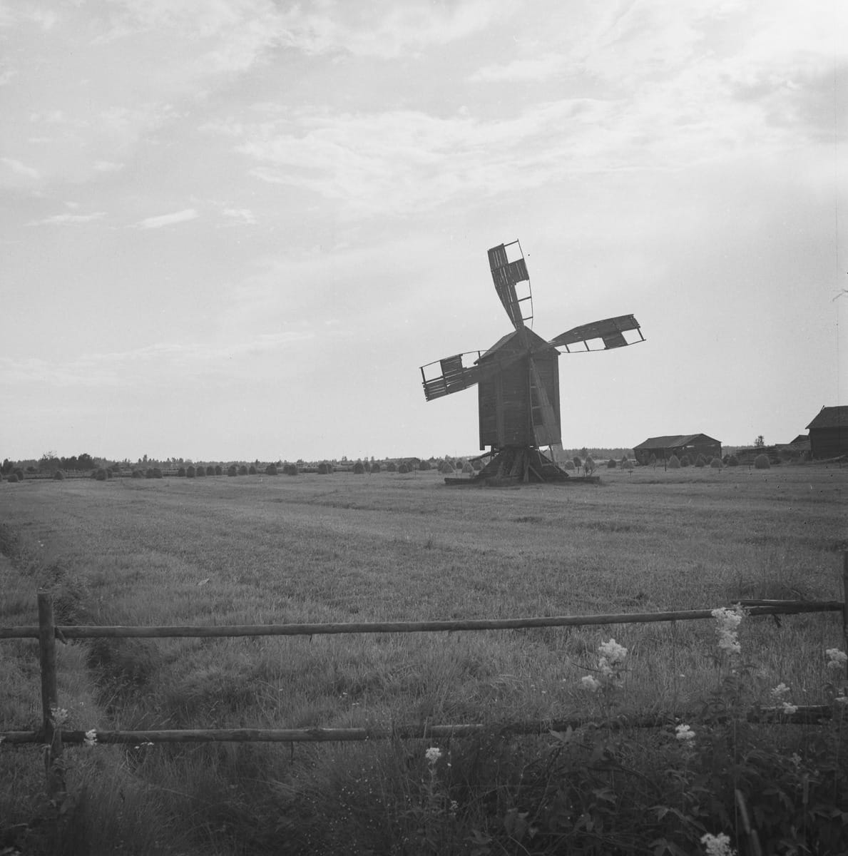 Limingan ja Lumijoen laajat pellot houkuttelivat maanviljelijäperheitä Vaasan seudulta 1930-luvun lopulla. Tämä kuva on otettu Lumijoella 1938.